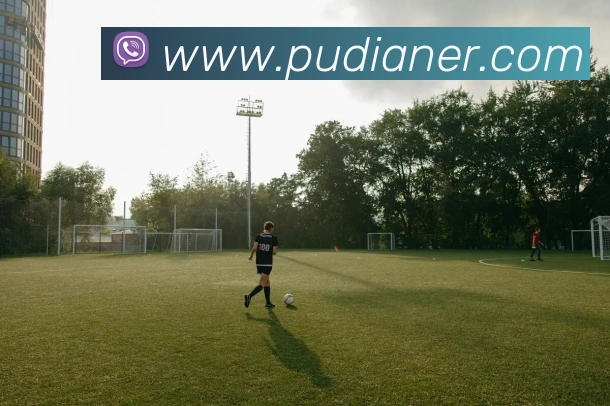 体育直播服务